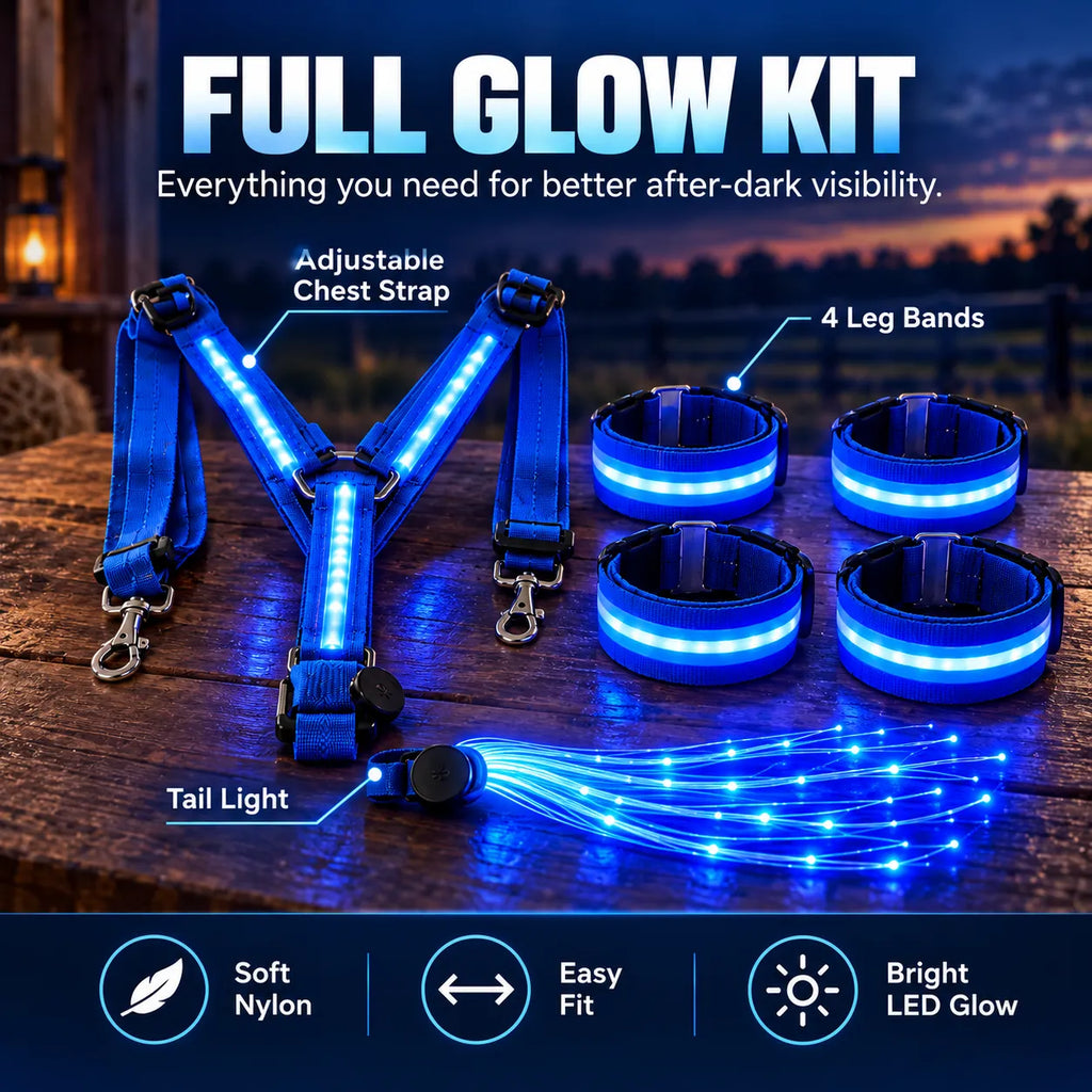 🎁LED Horse Glow Kit – High-Visibility Light-Up Gear for Night Riding ...